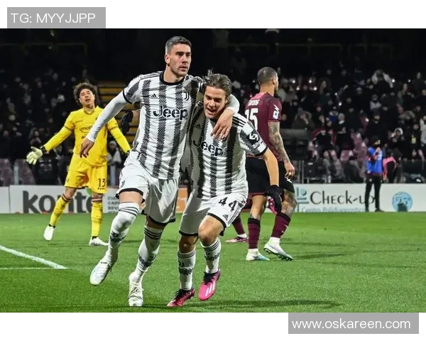 弗拉霍维奇:从天才前锋到球队核心的蜕变之路