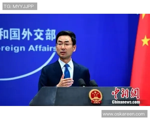 赖斯的外交智慧与全球影响力分析及其对国际关系的深远影响